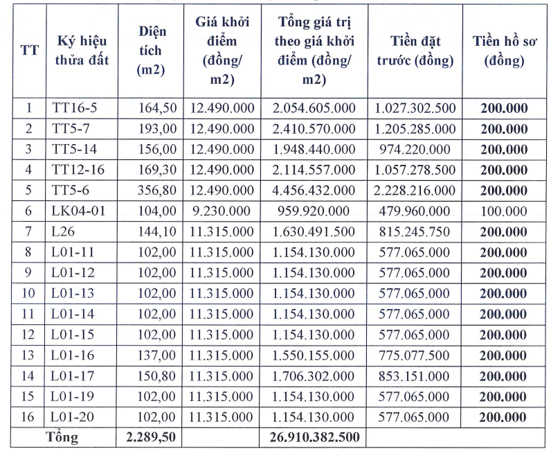 Đấu giá loạt thửa đất tại khu vực ngoại thành Hà Nội - Ảnh 1.