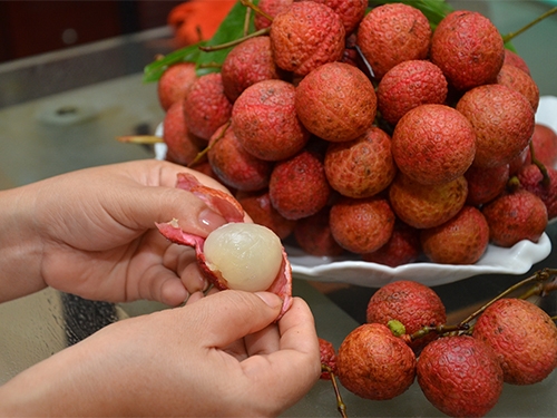 Ngày Tết Đoan Ngọ diễn ra đúng vào ngày Hè nên những loại hoa quả trong mùa này thường dùng vừa để cúng và ăn trong ngày Tết như: vải, mận, dưa hấu, dứa...