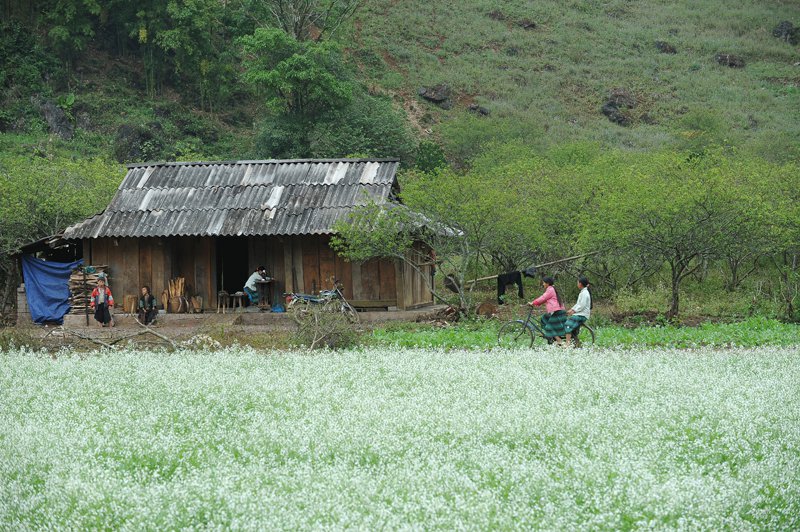 Mộc Châu