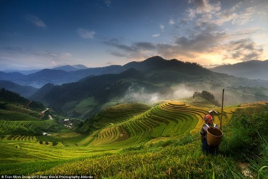  Một phụ nữ đang ngắm mặt trời mọc tại ruộng lúa bậc thang ở Mù Căng Chải, một huyện vùng tây bắc Việt Nam