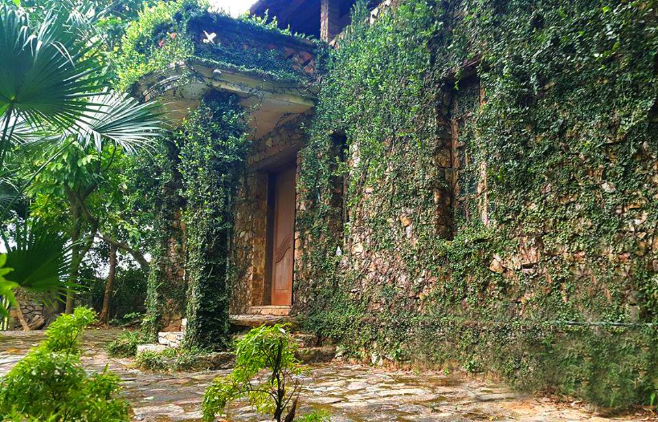 Không gian ở Jungle House hệt như trong một câu chuyện cổ tích