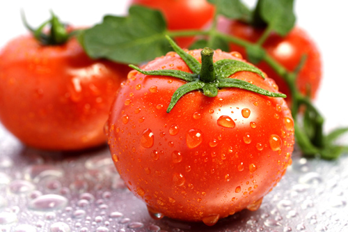 Cà chua chỉ nên để ở nơi ít ánh sáng và nên ăn ngay khi chúng chín