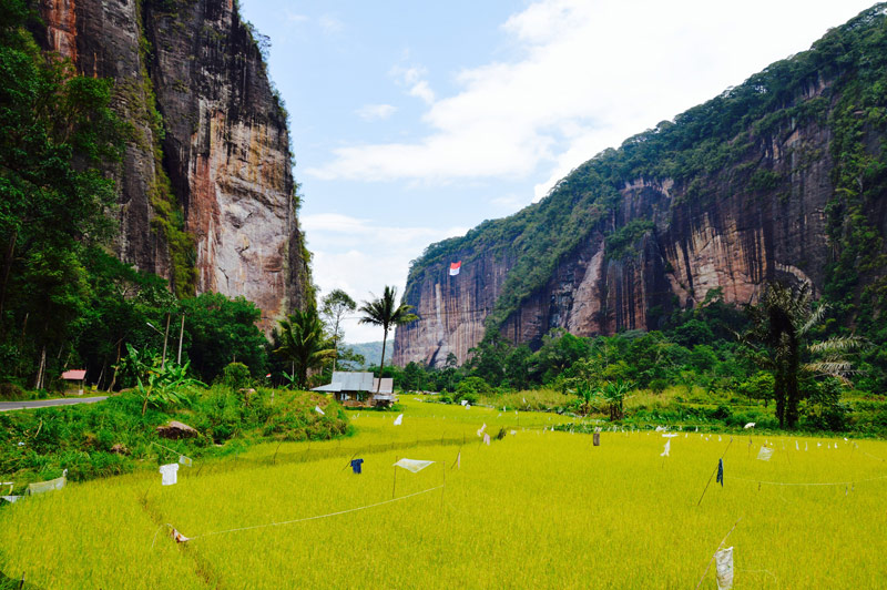 Thung lũng Harau là một trong những phong cảnh thiên nhiên đẹp nhất trên thế giới