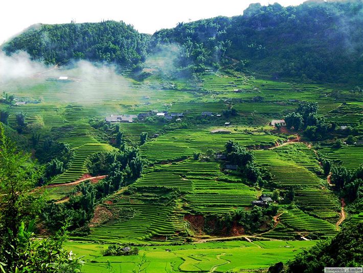 Cao nguyên Mộc Châu - Sơn La