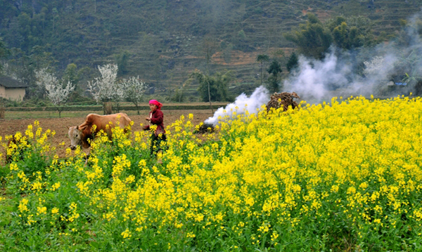 Hà Giang