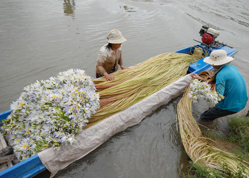 Tháng 10 mùa nước nổi ở Miền Tây bạn có thể lựa chọn du lịch