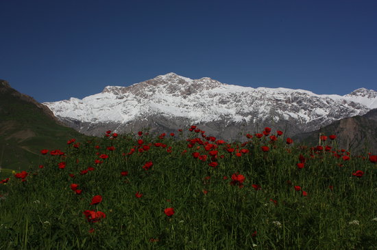 Dãy núi trên Đường cao tốc Pamir của Tajikistan