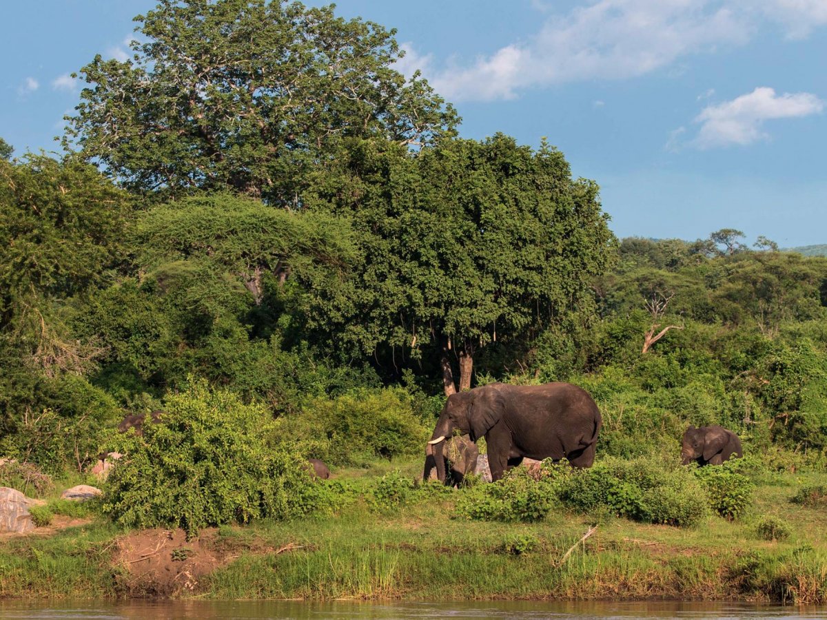 Nước Malawi