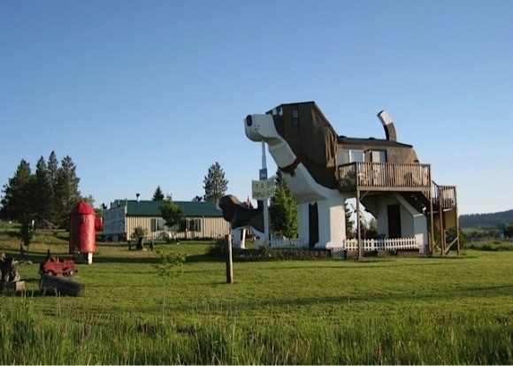 Dog Bark Park, Idaho, Hoa Kỳ