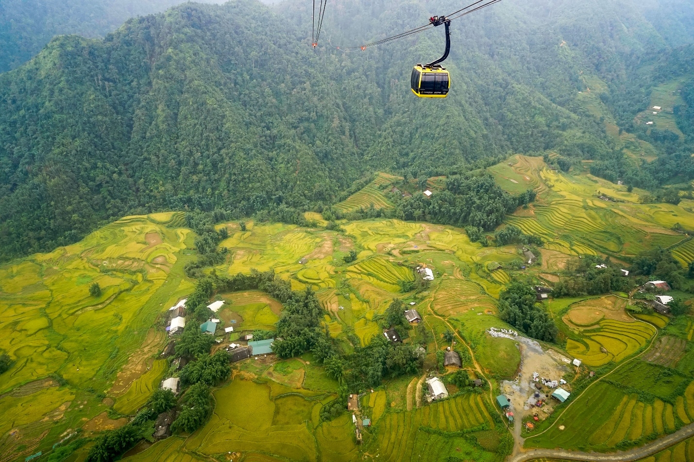 Khung cảnh tuyệt vời nhìn từ cáp treo.