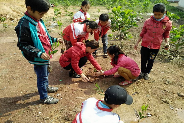 Thừa Thiên Huế: Phấn đấu tối thiểu 50% hệ thống cây xanh phủ bóng mát ở các trường học