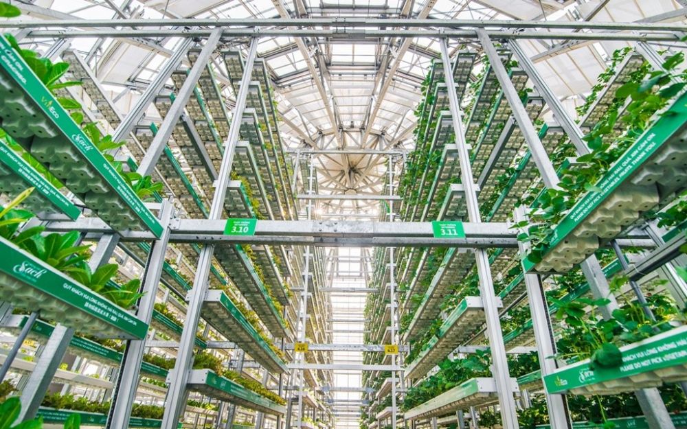 Công nghệ canh tác giá thể nhiều tầng Skygreen (Singapore) tại nông trường VinEco Nam Hội An