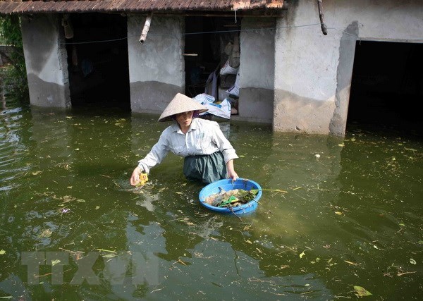 Vớt rác trôi nổi tập kết một chỗ cũng là cách phòng tránh dịch bệnh mùa lũ.