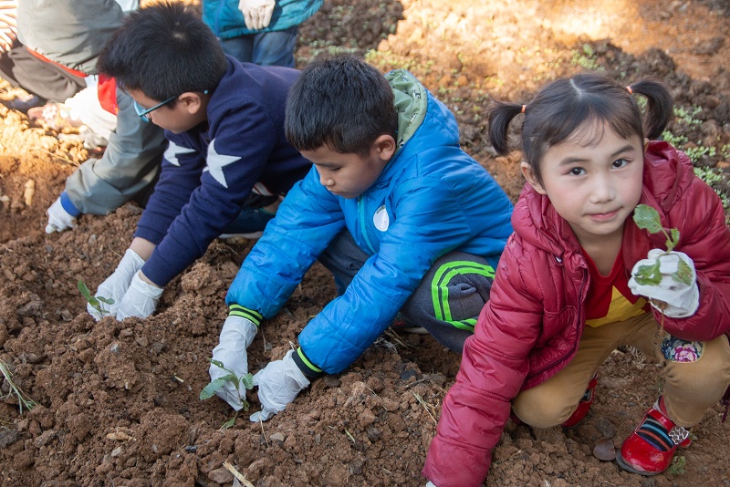 Hình 12: Những em nhỏ “lá chưa lành” của chương trình “Cặp lá yêu thương” cùng các em ở Trung tâm Bảo trợ Xã hội tỉnh Sơn La gieo những mầm cây, gieo những hi vọng cho tương lai