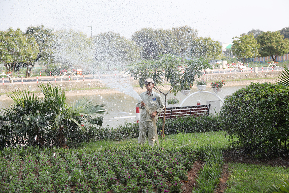 Cây cối xung quanh phố đi bộ thường xuyên được tưới nước nhằm đảm bảo cảnh quan tươi tốt dưới cái nắng đầu hè.