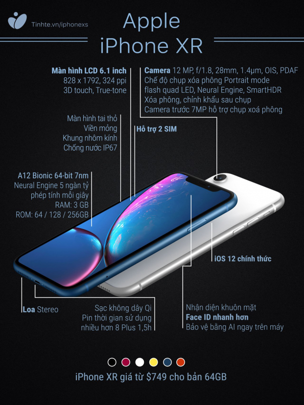 iPhone XR 'giá rẻ': Màn hình LCD tai thỏ, 6 màu sắc, 1 camera sau, giá từ 17 triệu đồng 3