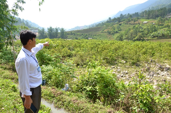 Mặc dù không phép, bị người dân kịch liệt phản đối, thủy điện vẫn mọc lên như nấm