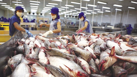 Con đường mới cho cá da trơn Việt Nam nhập khẩu vào Mỹ