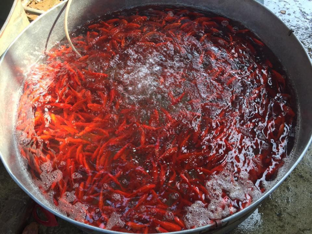 Thủ phủ nuôi cá chép đỏ phục vụ ngày ông Công ông Táo: Bán cả tấn mỗi ngày