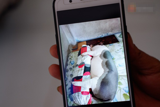  Hình ảnh đáng yêu của Ụt Ụt khiến nhiều người thích thú khi chứng kiến 