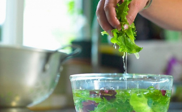 Rau héo chớ vội bỏ đi, ngâm ngay vào thứ nước này rau sẽ tươi roi rói ngay lập tức 1