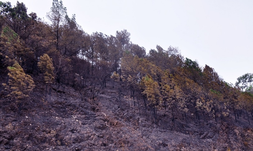 Núi Nầm Hương Sơn hoang tàn sau nhiều giờ chìm trong biển lửa