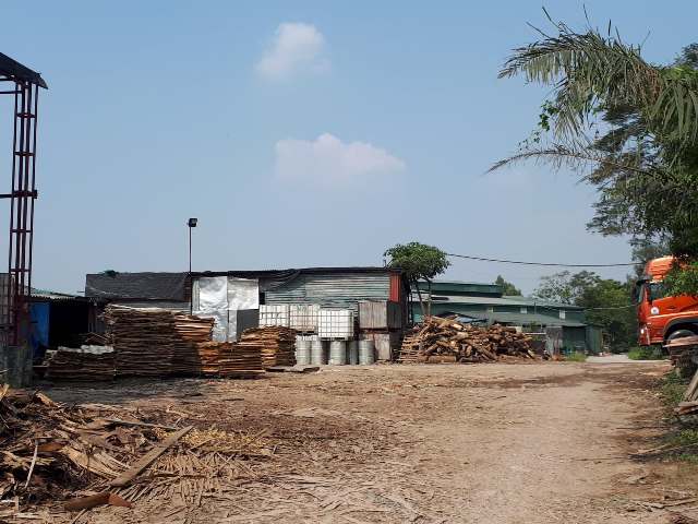 Nhà, xưởng gỗ, ván ép tại Mai Lâm từng là vấn đề nhức nhối trong ô nhiễm môi trường