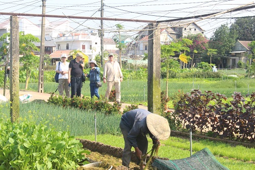 Làng rau Trà Quế (Hội An) – điểm đến du lịch sinh thái hấp dẫn du khách - Ảnh 4