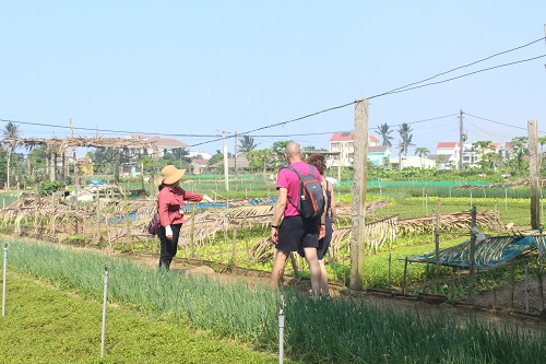 Làng rau Trà Quế (Hội An) – điểm đến du lịch sinh thái hấp dẫn du khách - Ảnh 7