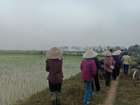 Bài 2: Vụ 