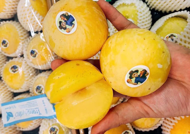 Mận vàng giá 50.000 đồng/quả có gì đặc biệt khiến nhà giàu Hà Nội săn lùng? - Ảnh 2. Mận vàng giá 50.000 đồng/quả có gì đặc biệt khiến nhà giàu Hà Nội săn lùng? - Ảnh 2.