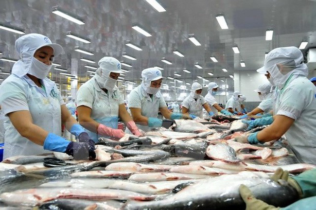 Thuế chống bán phá giá với cá tra của Việt Nam đã được điều chỉnh giảm - Ảnh 1