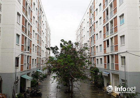 Sau ngày 30/11/2018, Đà Nẵng sẽ thu hồi các căn hộ chung cư nhà nước ở không chính chủ (Ảnh: HC)