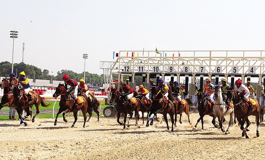 G.O.Max I&D and Hanoitourists are both seeking to build horse racecourses very close to each other. (Photo: Le Toan)