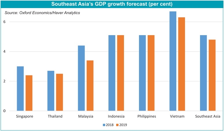 Vietnam's GDP growth rates compared to its regional peers. (Photo: Oxford Economics/ Haver Analytics)