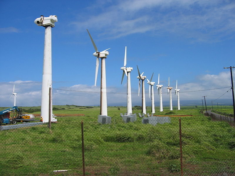 A wind power plant in Ninh Thuan province. (Photo: Nld)