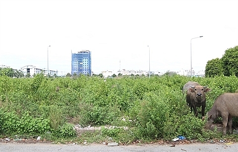 More investors are buying land in remote or underdeveloped regions due to cheaper prices and potential for growth in value. (Photo: Tran Xuan Tinh)