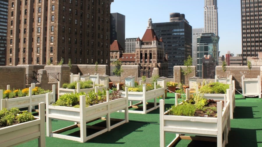 Planting flowers on hotel rooftop