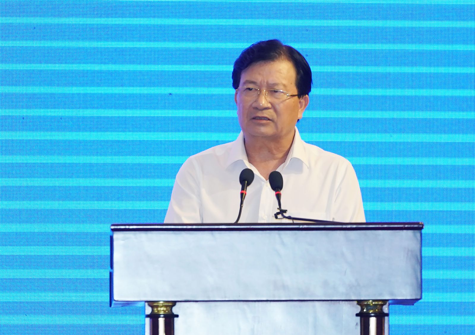Phó Thủ tướng Trịnh Đình Dũng phát biểu tại Hội nghị - Ảnh: VGP/Quang Hiếu