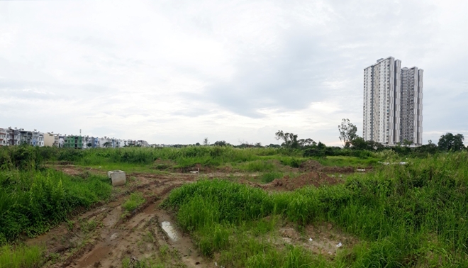 Sau nhiều năm được rao bán, đất nền tại một dự án vẫn để cỏ mọc hoang hóa.