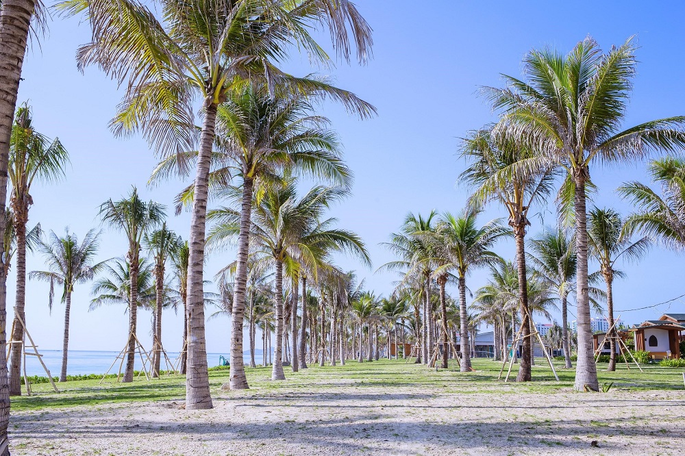 Movenpick Resort Cam Ranh sở hữu 800m bờ biển riêng và tận hưởng trọn sự ưu đãi trong một không gian biệt lập