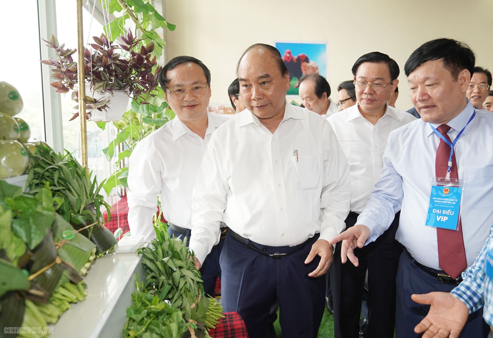 Thủ tướng và các đại biểu thăm một số gian trưng bày sản phẩm nông nghiệp. Ảnh: VGP/Quang Hiếu