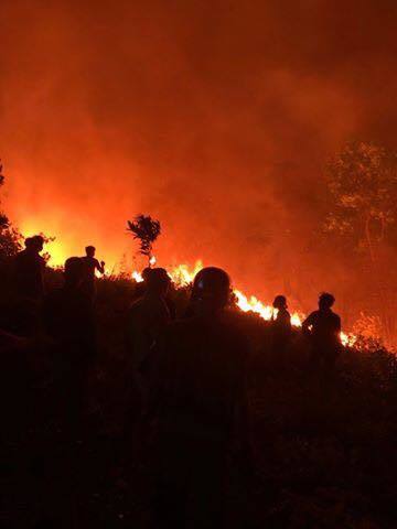 Cháy rừng tại Cồn Léc, Hương Sơn từ tối qua.