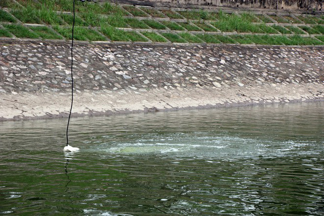 Khu vực đầu thường nguồn sông Tô Lịch, đoạn qua đường Nguyễn Đình Hoàng đang thí điểm xử lý bằng công nghệ nano Nhật Bản, nước sủi bọt màu trắng xóa, không còn đục và đen như những ngày trước đó.