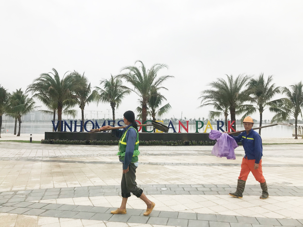 Ban đầu, dự án có tên là VinCity Ocean Park và được đổi tên thành Vinhomes Ocean Park vào tháng 3 năm nay. Hiện tại, dự án này là khu đô thị lớn nhất của Vingroup tại Hà Nội.
