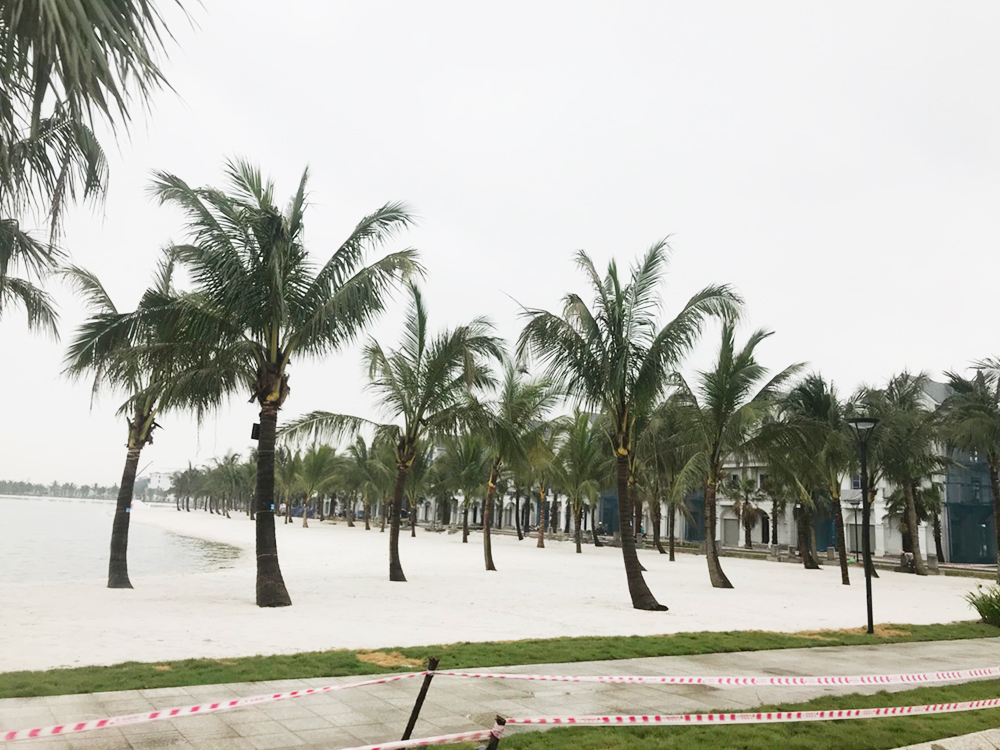 Bãi cát ven hồ trung tâm trông giống bờ biển tự nhiên với hàng dừa. Cát trắng được chủ đầu tư chở về từ Nha Trang, sàng nhiều lần trước khi đem trải ven hồ.