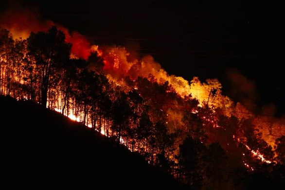 Đám cháy bùng phát trở lại tại khu đồi thông, keo thuộc núi Nầm (huyện Hương Sơn, Hà Tĩnh) đêm ngày 8/7