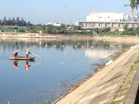 Đến 9h30 ngày 27/10 nhiều công nhân vẫn mệt mài vớt cá chết ở Hồ Linh Đàm. Ảnh: Gia đình & Xã hội.