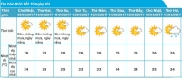 Dự báo thời tiết TP. Hồ Chí Minh 10 ngày tới: Nắng nóng trên 30oC