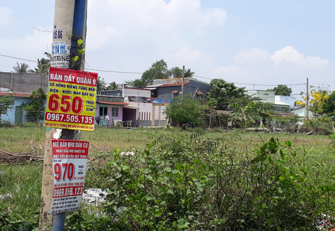 Chi chít các biển báo rao bán đất nền ở các khu xung quanh phường Trường Thạnh, quận 9. Ảnh: Thái Nguyễn.